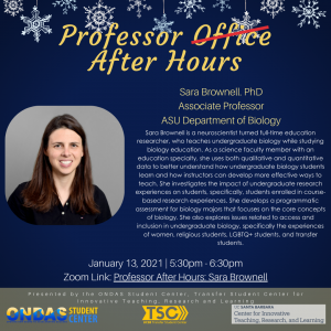 Professor After Hours: Sarah Brownell